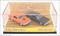 2008 - Boulevard Burners - Acrylic Box